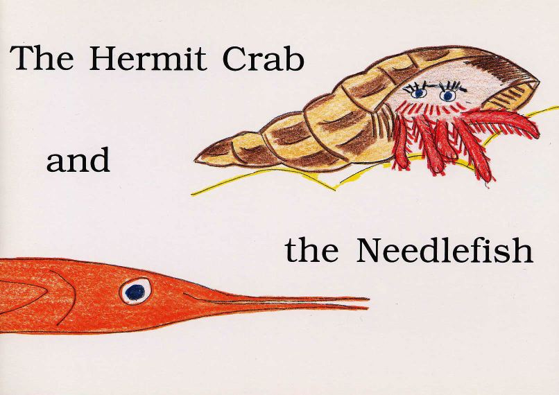Front Cover of Jane Downing's The 
      Hermit Crab and the Needlefish 